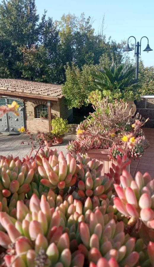 Santo Stefano del SoleLa Casa Sull'Aia,Av住宿加早餐旅馆 外观 照片